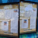 “Llevate una poesía en el celular”: la Biblioteca Popular Cornelio Saavedra comparte escritos en su cartelera