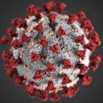 Coronavirus en CABA: 491 casos nuevos, 655 altas y 18 muertes durante el fin de semana