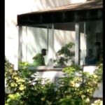 La Policía de la Ciudad evitó un femicidio en Lacroze y 11 de septiembre