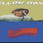 Recomendación Semanal: Universo Indie Rock