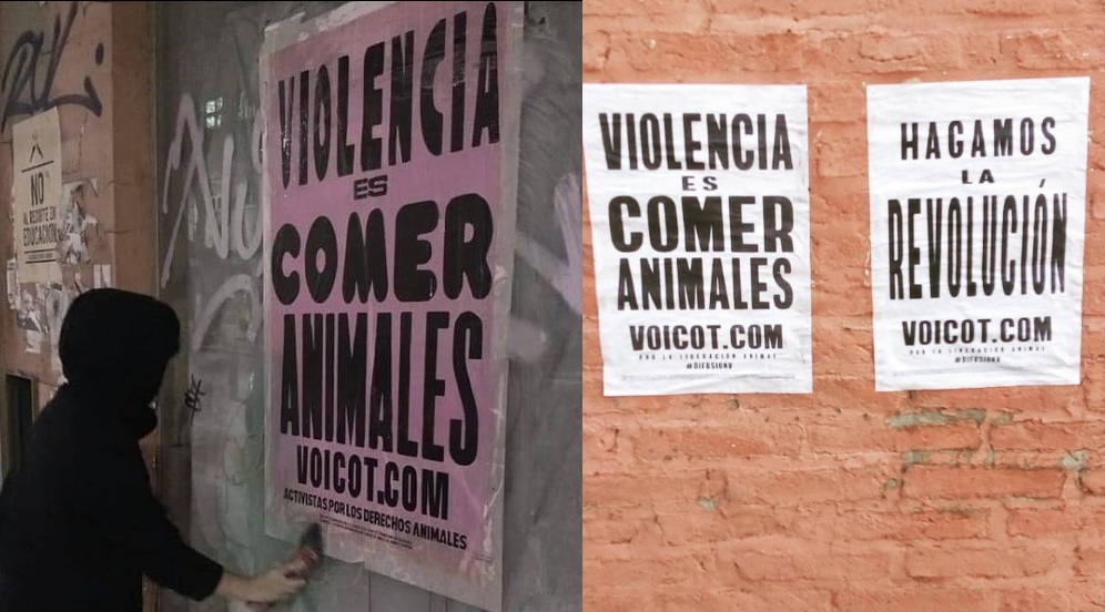 Nace Difusión V Saavedra, vecinos activistas “por la liberación animal y humana”
