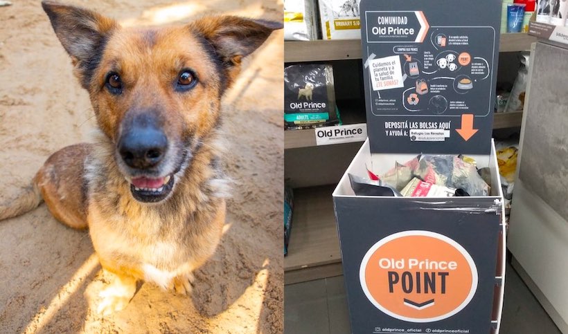 Saavedra: reciben envases vacíos de alimento para reciclar a beneficio de un refugio de animales