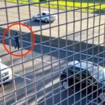 Quiso cruzar la General Paz a pie, fue atropellado y provocó un choque en cadena