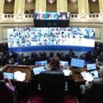 Aprueban la ley para vacunar contra el bicho