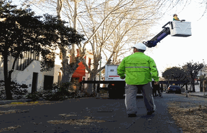 Tareas de la comuna 9 por fuertes ráfagas de vientos