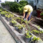 La Comuna 3 limpió e hizo plantaciones en el pasaje frente a Cromañón