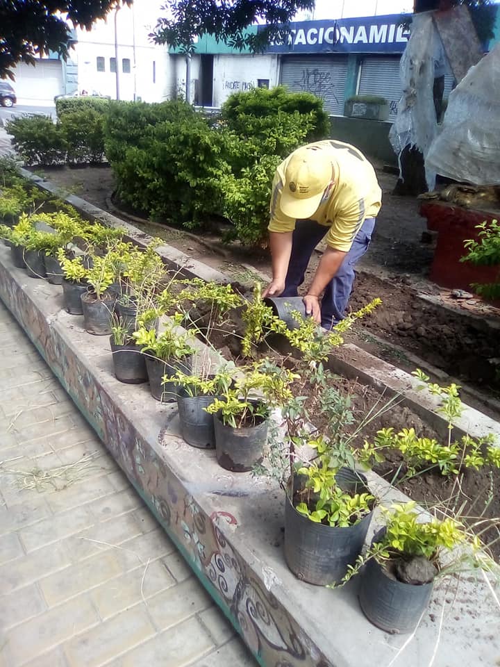 La Comuna 3 limpió e hizo plantaciones en el pasaje frente a Cromañón