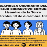 Se va la última del Consejo Consultivo de la Comuna 9