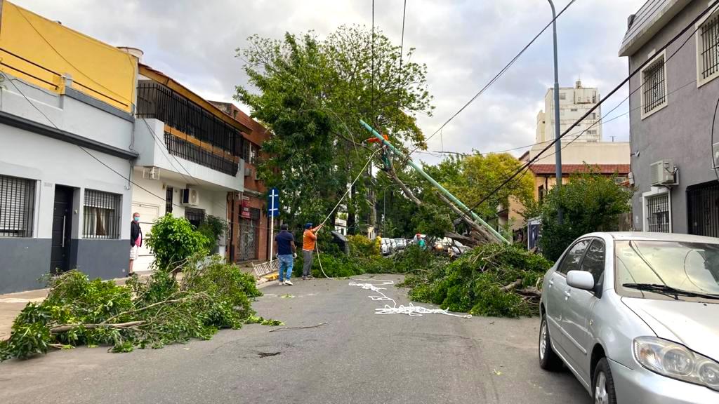 Salvó el auto de milagro: un árbol cayó, dañó a otro y arrastró un poste