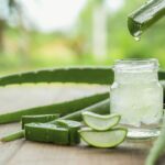 La magia del aloe vera