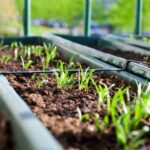 Aprueban una ley para promover la agricultura urbana en la Ciudad de Buenos Aires