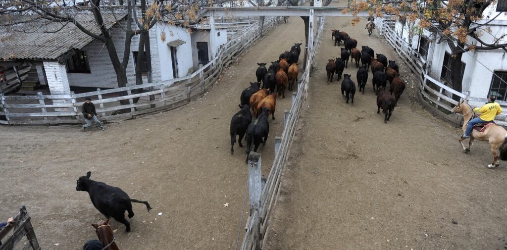 Nueva prórroga para el traslado del Mercado de Hacienda