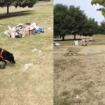 Navidad en Saavedra: pocos fuegos artificiales y fiestas en los parques