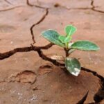 Potenciar la resiliencia en el mundo