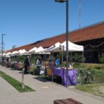 El Libro Móvil se presenta en el Parque de la Estación con ejempalres de Qeja y Librería Ritualito