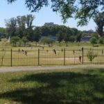 Fútbol, asados y piletas: el Parque Sarmiento recupera su esplendor