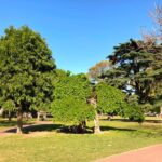 Denuncian que una menor fue acosada por un hombre cerca de Parque Saavedra