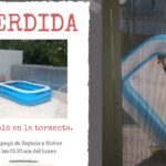 Final feliz: la pileta voladora de Zapiola y Nuñez fue recuperada por sus dueños