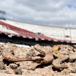 Hallan herraduras con más de un siglo de antigüedad durante la reforma en el Monumental
