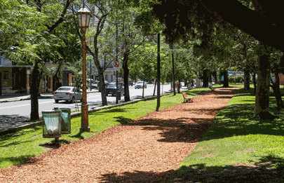 Embellecimiento de espacios verdes de la Comuna 7