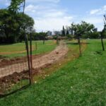 Avanza la construcción de caminos de cemento dentro de la plaza La Copita