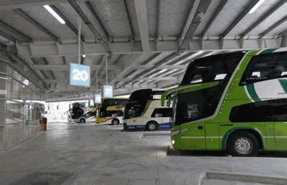 Líneas de colectivos modifican recorridos para llegar a la terminal Dellepiane