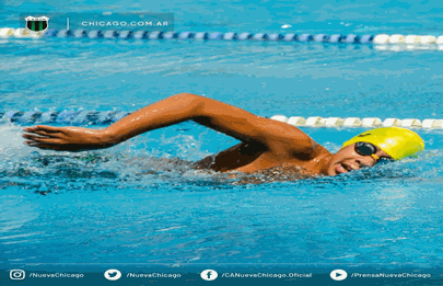 Buena presentación de nadadores de Chicago en competencia metropolitana