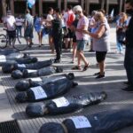 El Observatorio de Derechos Humanos Comuna 3 y Los 12 de la Santa Cruz repudian el “mensaje de odio” frente a Casa Rosada