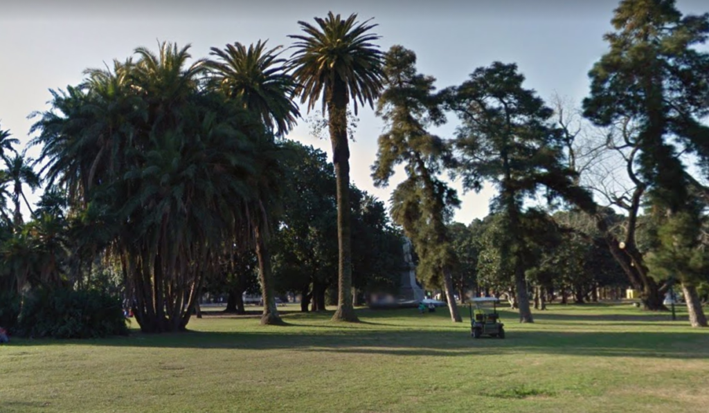 Organizaciones ambientales, en alerta por el pedido de deportistas amateurs de remover árboles en Palermo