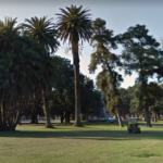 Organizaciones ambientales, en alerta por el pedido de deportistas amateurs de remover árboles en Palermo