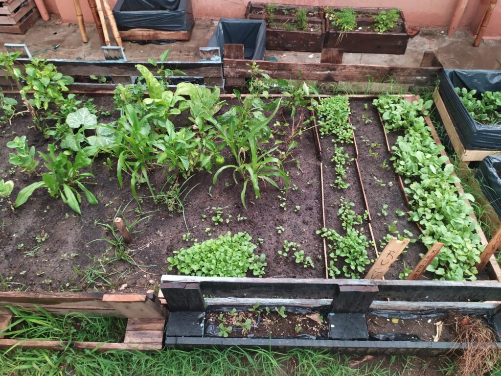 Villa Pueyrredón: construyeron una huerta escuela en el club Sportivo Devoto