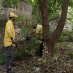 Tareas de limpieza y fumigación contra el dengue en la Comuna 7