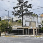 Preocupación en Parque Chacabuco por nuevas torres