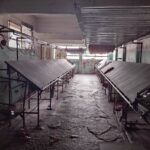 Villa Luro: clausuran por maltrato animal un criadero de fauna silvestre y exótica