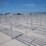 Avanzan las obras para la mudanza del Mercado de Hacienda de Liniers