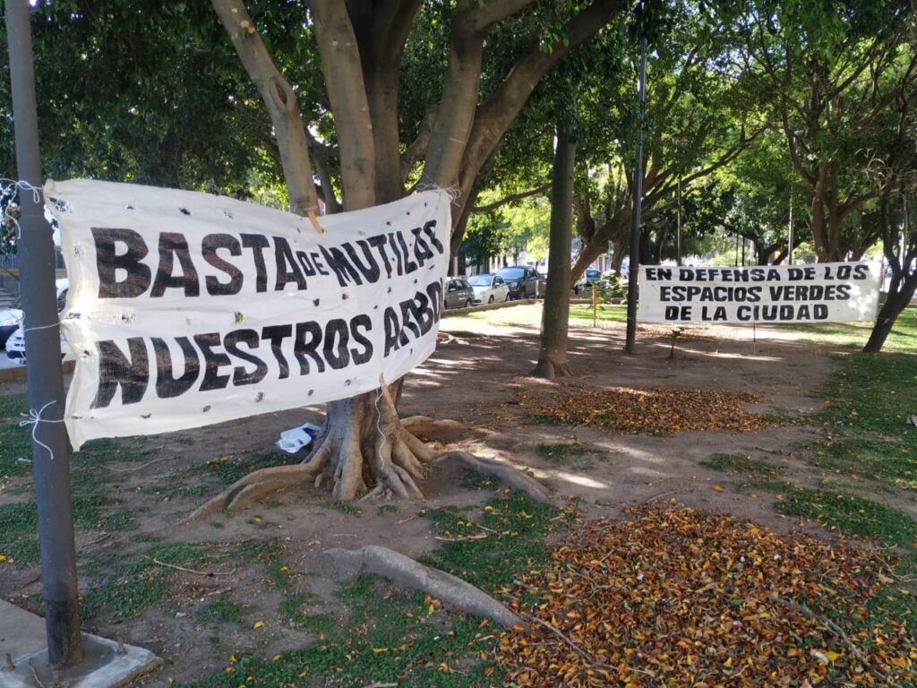 Rechazo a la extracción de 40 árboles en el bulevar San Isidro Labrador: “Es un pequeño bosque que mejora la calidad de vida”