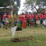 Plantarán árboles en el Parque Saavedra y La Copita por la Semana de la Memoria de la Comuna 12