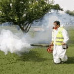 Dengue: La Defensoría controla acciones le GCBA en barrios de la comuna 8