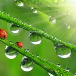 ¿El nuevo humano está despertando?