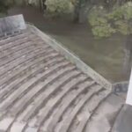 La legisladora Bielli alerta que “el Anfiteatro del Parque Sarmiento está sin mantenimiento, sin programación y con malezas”