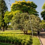 Organizaciones vecinales impulsan una “Ley Marco de Espacios Verdes”