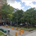 La Justicia frenó la extracción de 40 árboles en el bulevar San Isidro Labrador