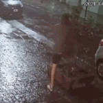 La extraña historia del robo del limonero en Parque Avellaneda