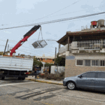 Rescatan aves y tortugas de criadero ilegal en Mataderos