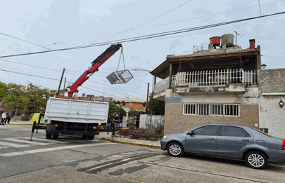 Rescatan aves y tortugas de criadero ilegal en Mataderos