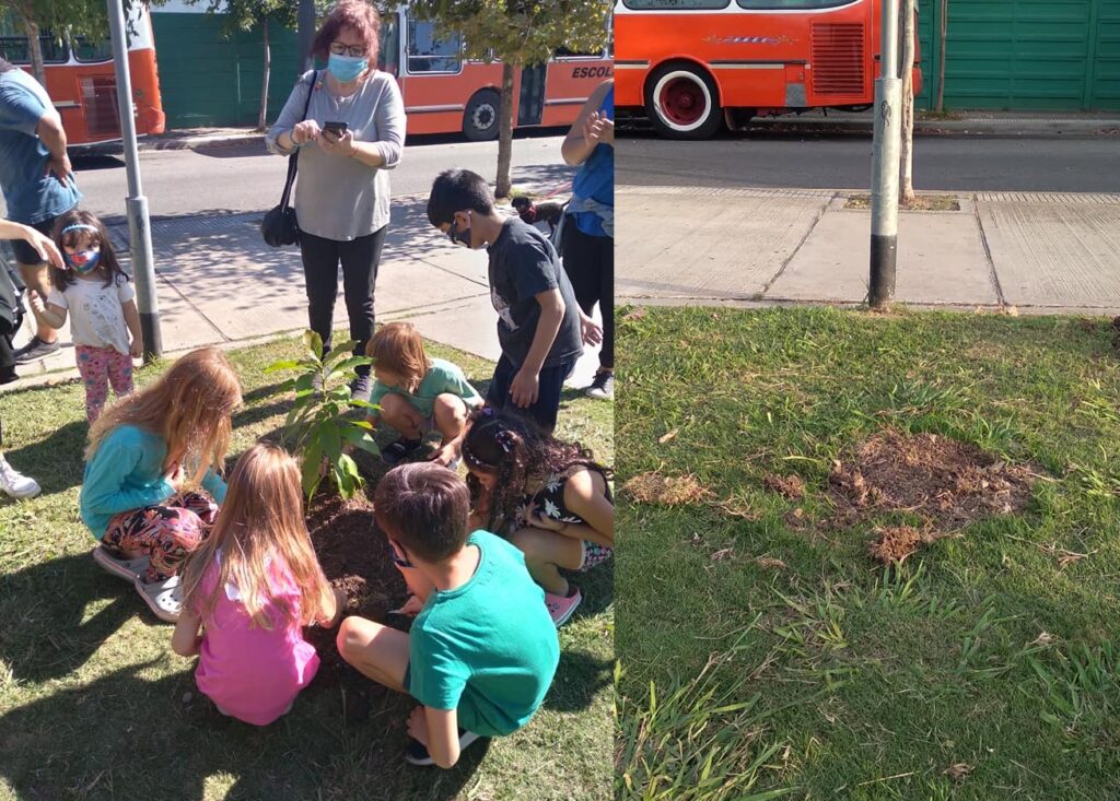 Villa Pueyrredón: removieron árboles plantados el Día de la Memoria en la Plaza de la Estación