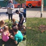 Villa Pueyrredón: removieron árboles plantados el Día de la Memoria en la Plaza de la Estación