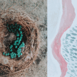 Proyecto “Mecánicas” en la Chacra de los Remedios