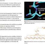 Ensayos clínicos demuestran eficacia del dióxido de cloro en el tratamiento de Covid 19