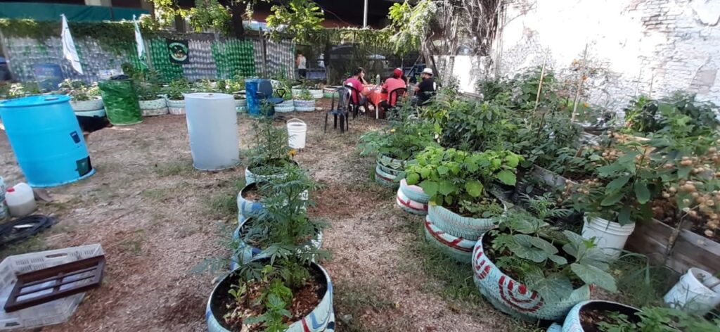 Lanzan la primera escuela de “Huerta urbana”, en pleno auge de la actividad en la Ciudad